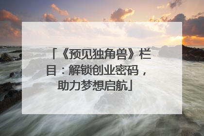 《预见独角兽》栏目：解锁创业密码，助力梦想启航